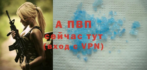 apvp Алзамай