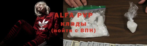 apvp Алзамай
